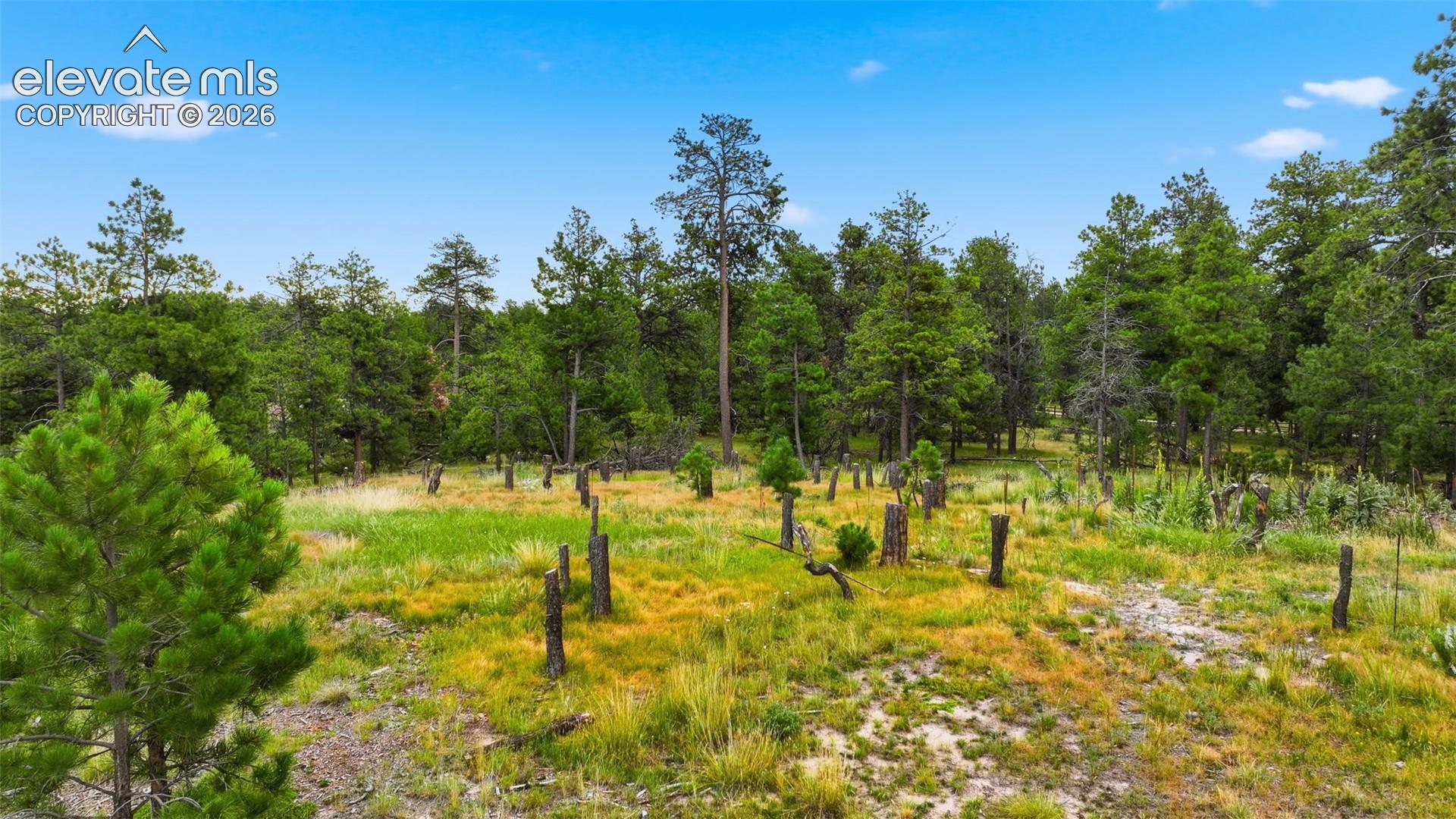Photo 12 of 17374 Goshawk Road, Colorado Springs