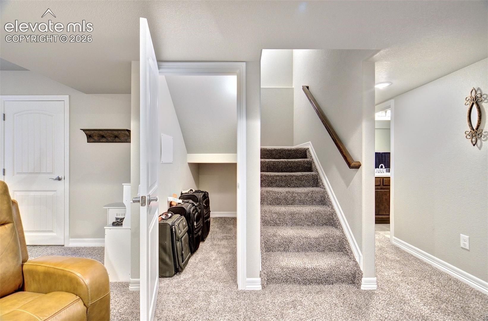 Interior space featuring neutral wall tones, carpeted flooring, a dedicated under-stair storage area, and a staircase with a wood handrail