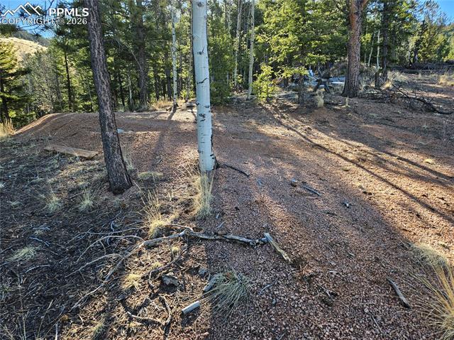 Photo 15 of 652 Derby Drive, Cripple Creek