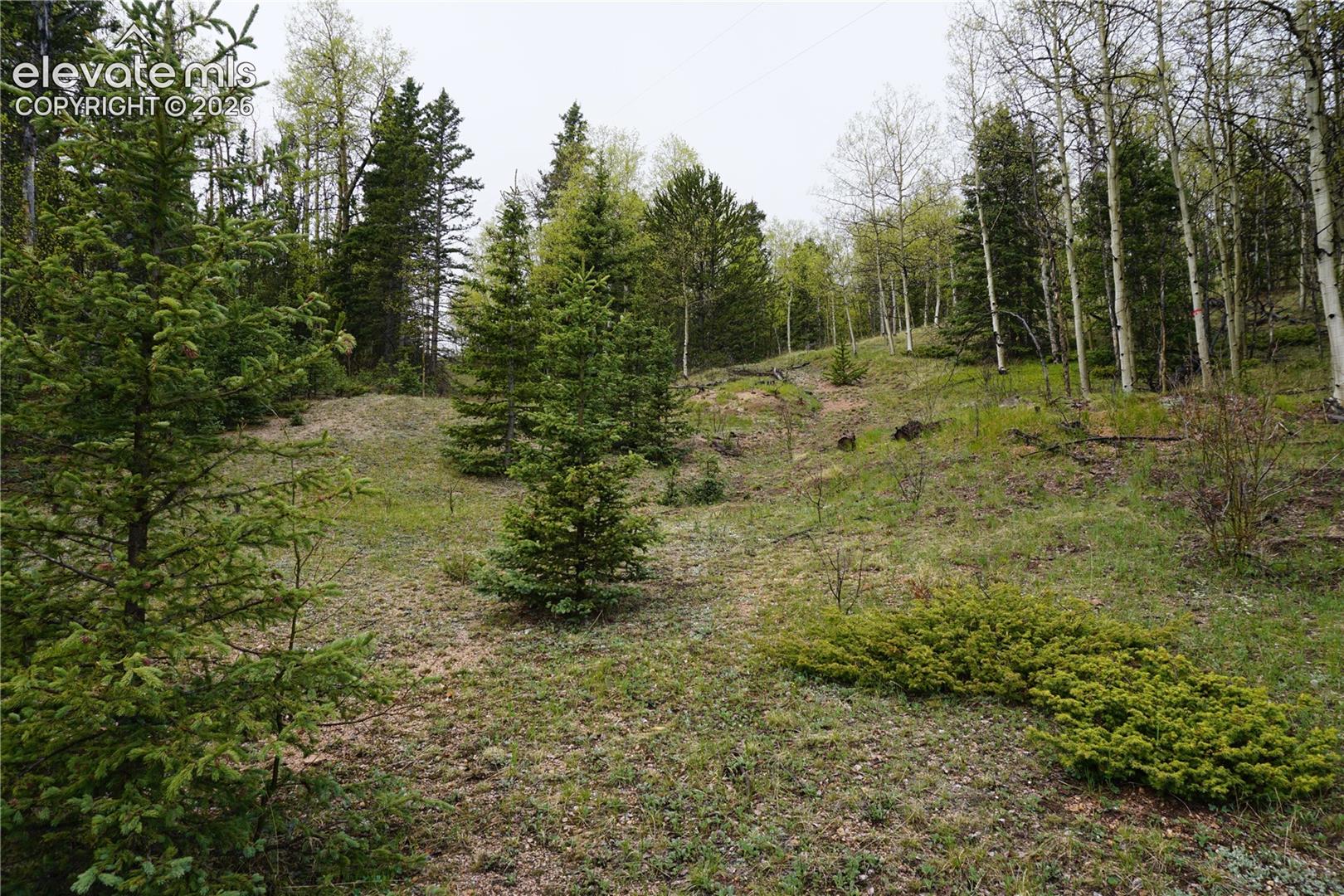 0 Vacant Land NA, Cripple Creek, CO 80813