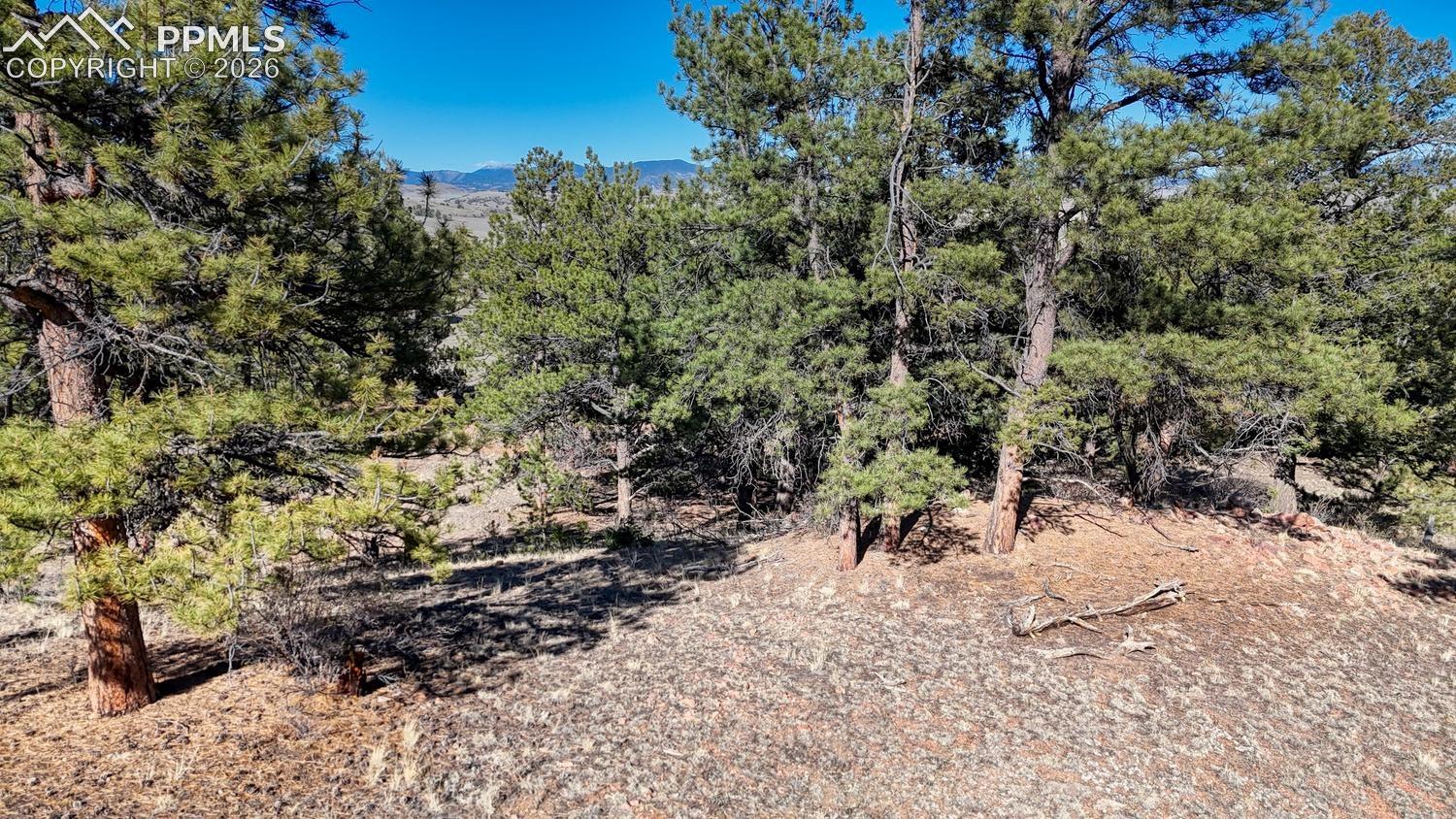 Photo 13 of Lot 5124 Arikara Trail, Hartsel
