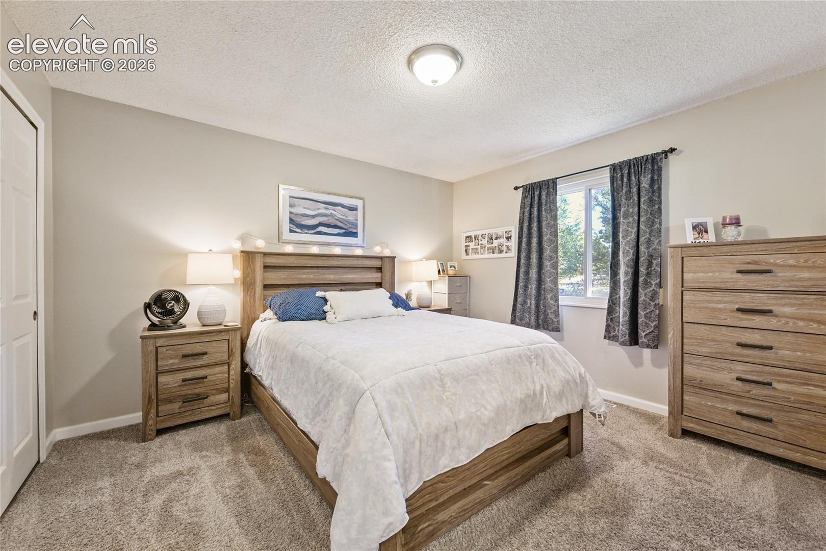 Neutral wall tones, wall-to-wall carpeting, window with natural lighting, and a closet with a paneled door