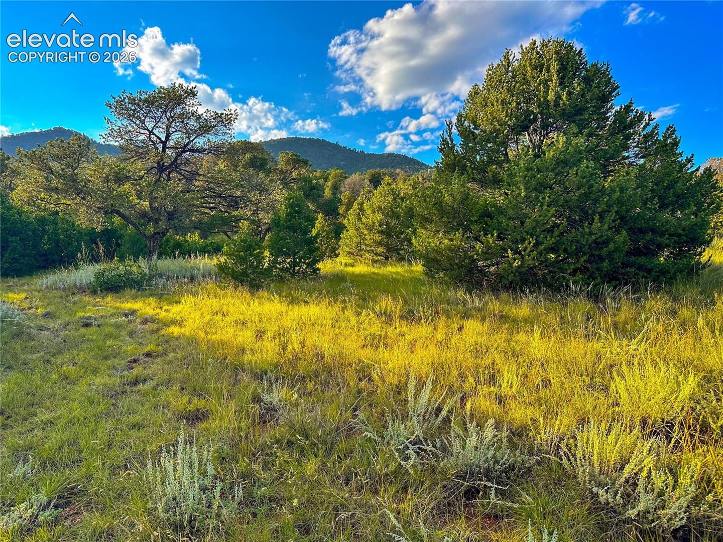 Natural landscape hosting varied topography