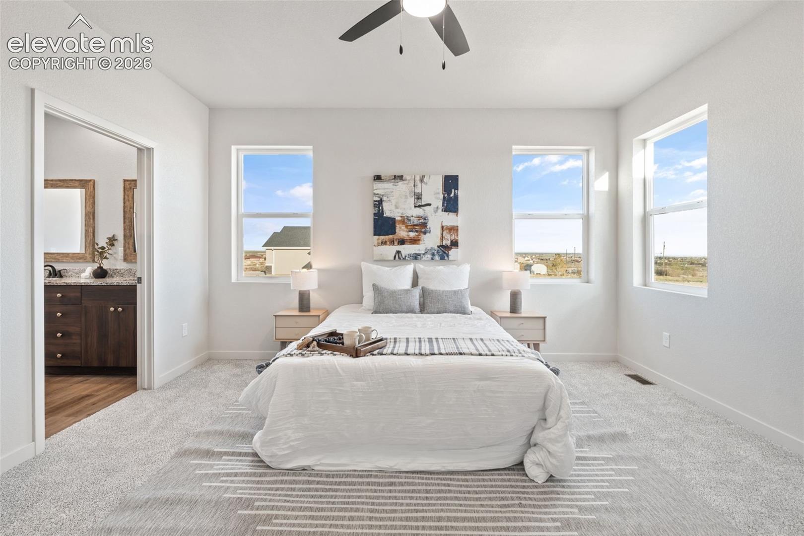 Light gray carpeting, multiple windows, ceiling fan, and an en-suite bathroom with a wood-finish vanity and stone-finish countertop
