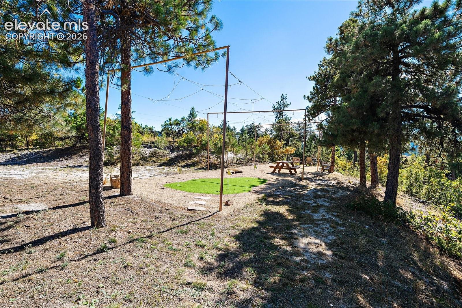 Outdoor area featuring a synthetic putting green, metal frame structure, natural terrain, and mature pine trees