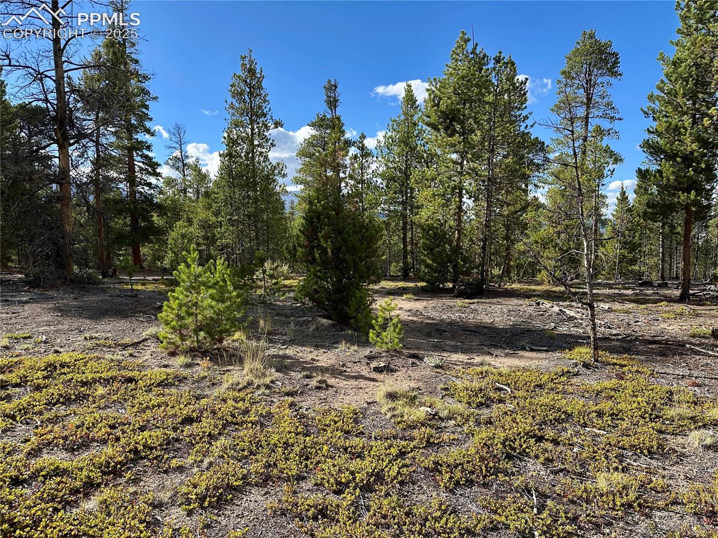 Photo 13 of 143 Fir Drive, Leadville