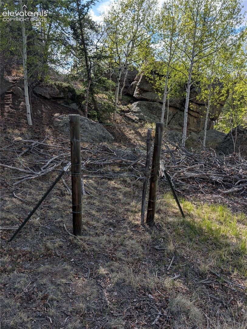Sloped terrain featuring natural rock formations and a variety of mature trees including fir and aspen