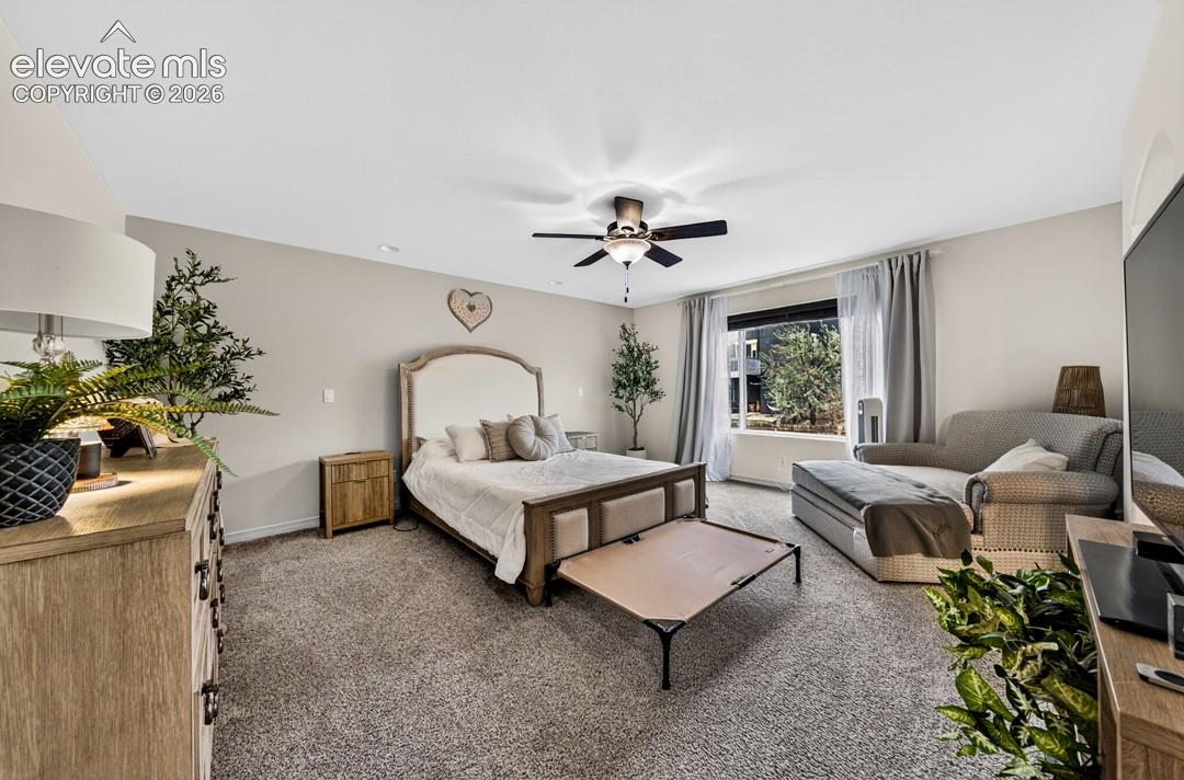 New carpet, Oversized room, ceiling fan, adjoining bath, oversized walk-in closet