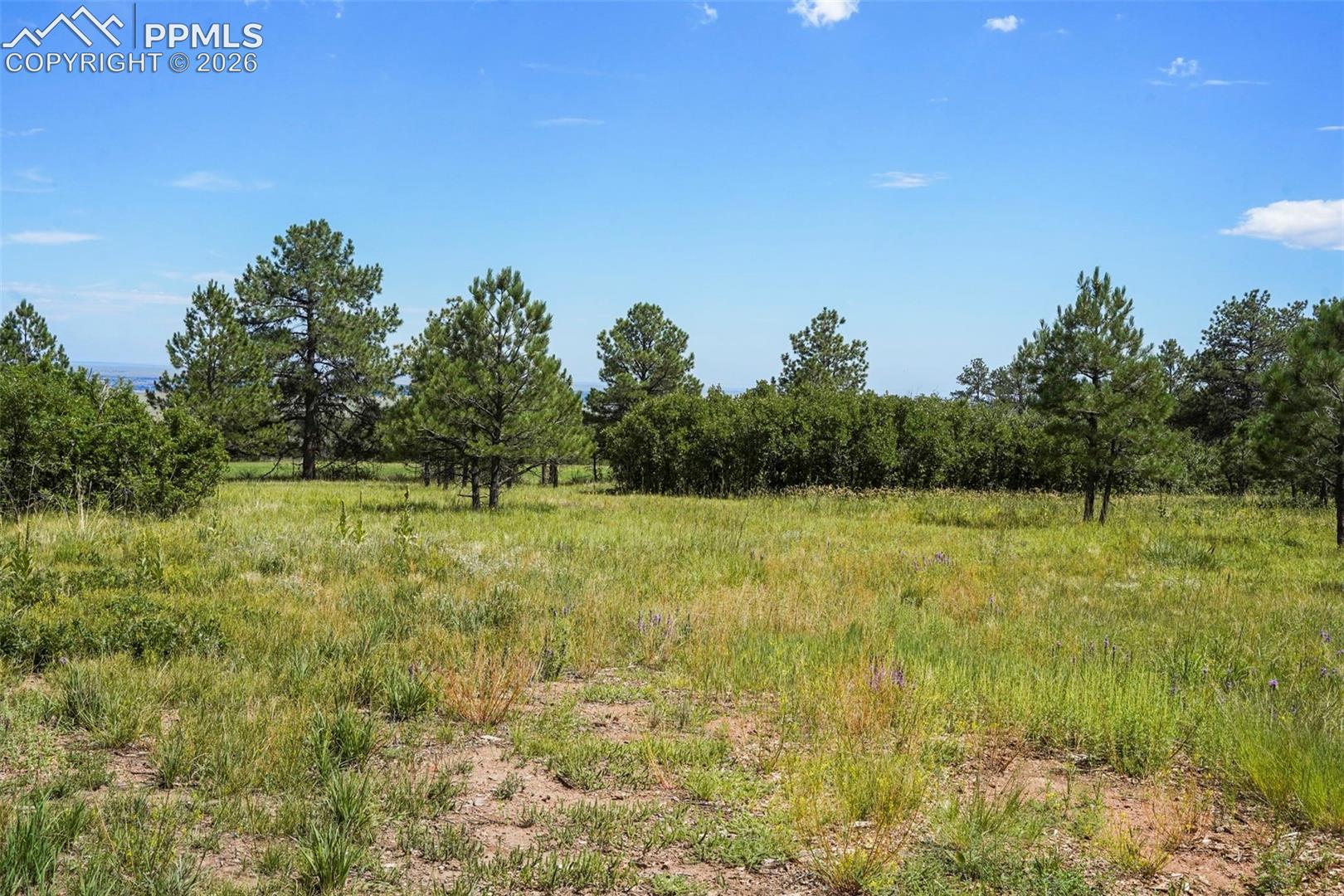 Photo 12 of 325 Pine Oaks Road, Colorado Springs