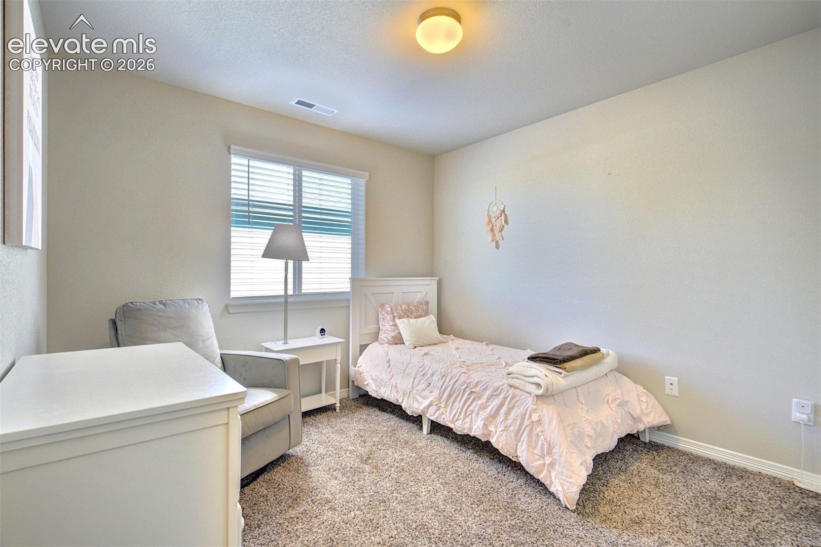Neutral-toned interior featuring wall-to-wall carpeting, a dual-pane window with horizontal blinds, and a semi-flush mount ceiling fixture