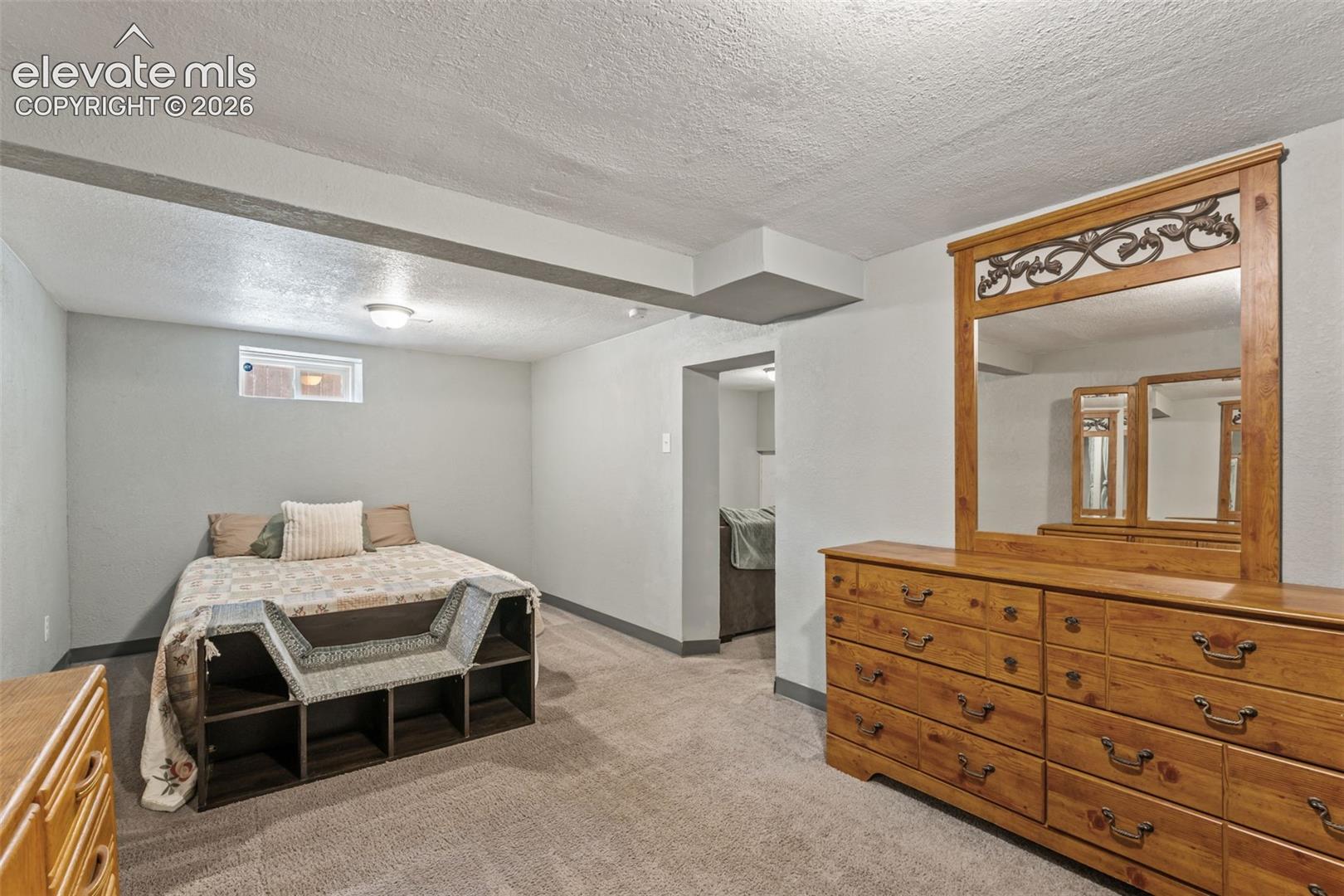 Carpeted room with light gray walls, a flush-mount ceiling light, and a small egress window