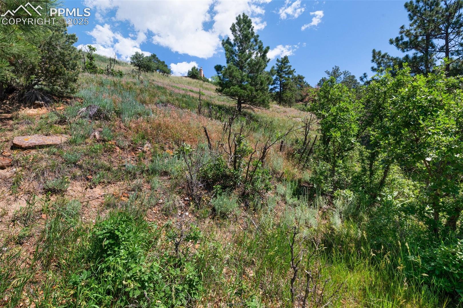 Photo 6 of 7137 Oak Valley Drive, Colorado Springs