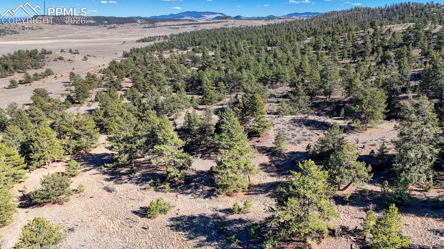 Photo 18 of Lot 5124 Arikara Trail, Hartsel