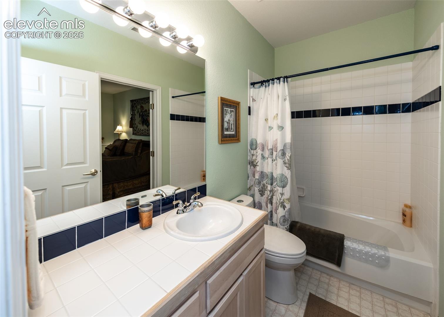 Basement Bathroom