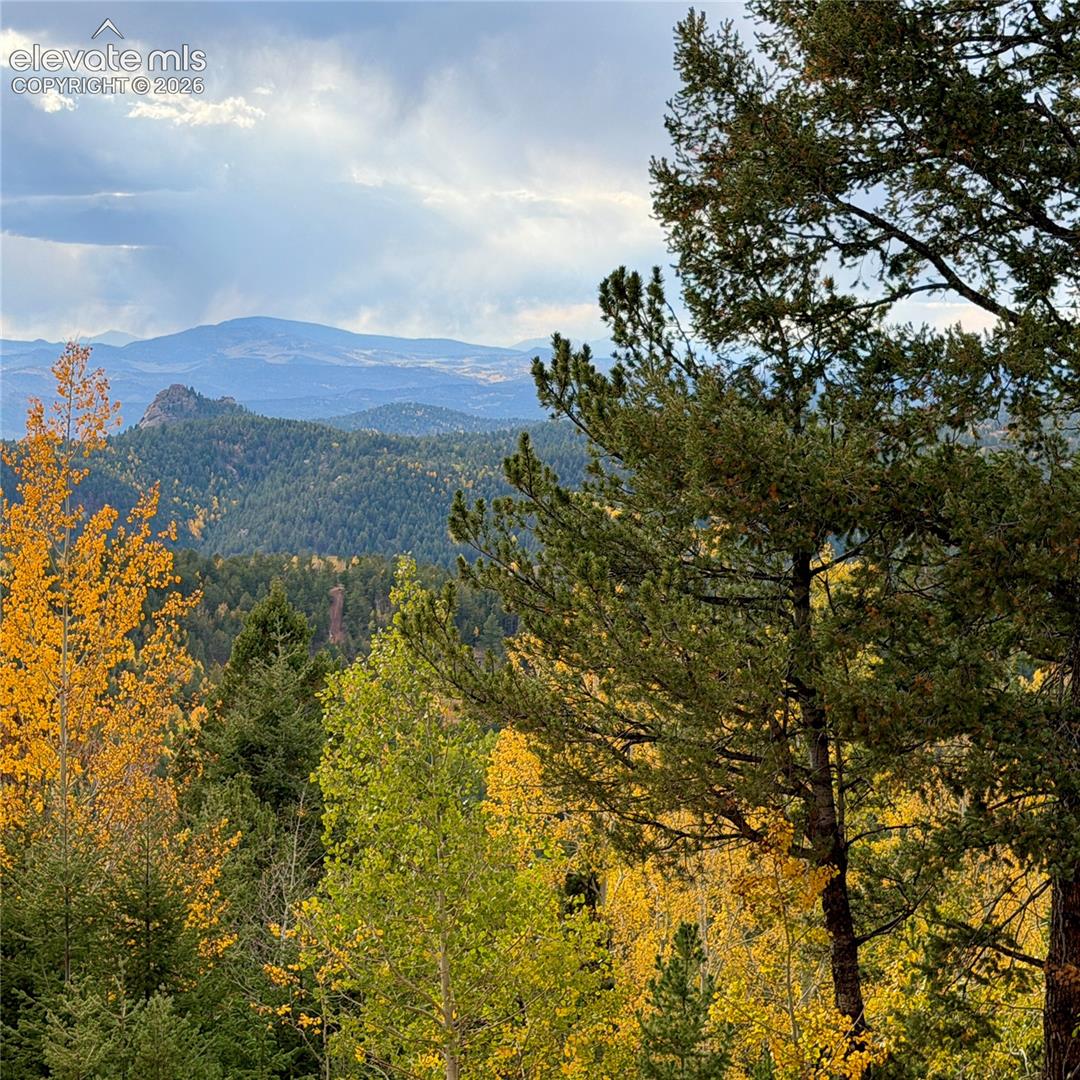Mountainous landscape with expansive sky and mixed evergreen and deciduous trees