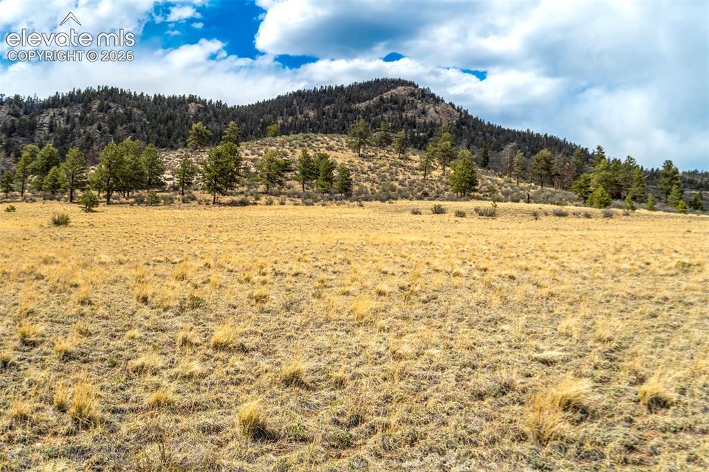 View from bottom of meadow land
