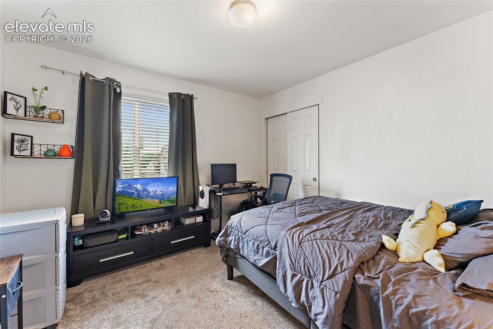 Neutral wall palette, ceiling-mounted light fixture, carpeting, and double-door closet