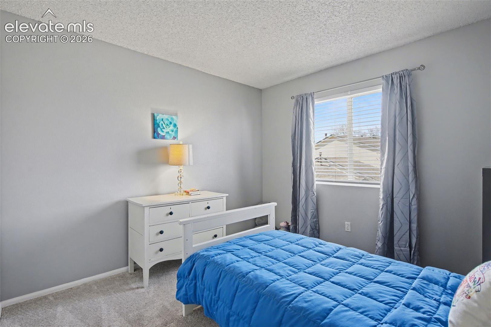 Photo 21 of 748 Caribbean Point, Colorado Springs