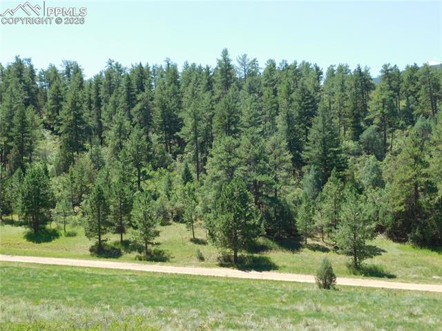 Photo 17 of 4668 Comanche Drive, Larkspur