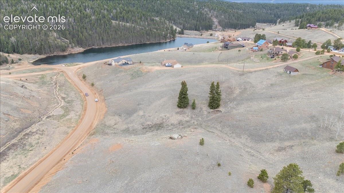 175 Twin Lakes Dr, Divide, CO 80814