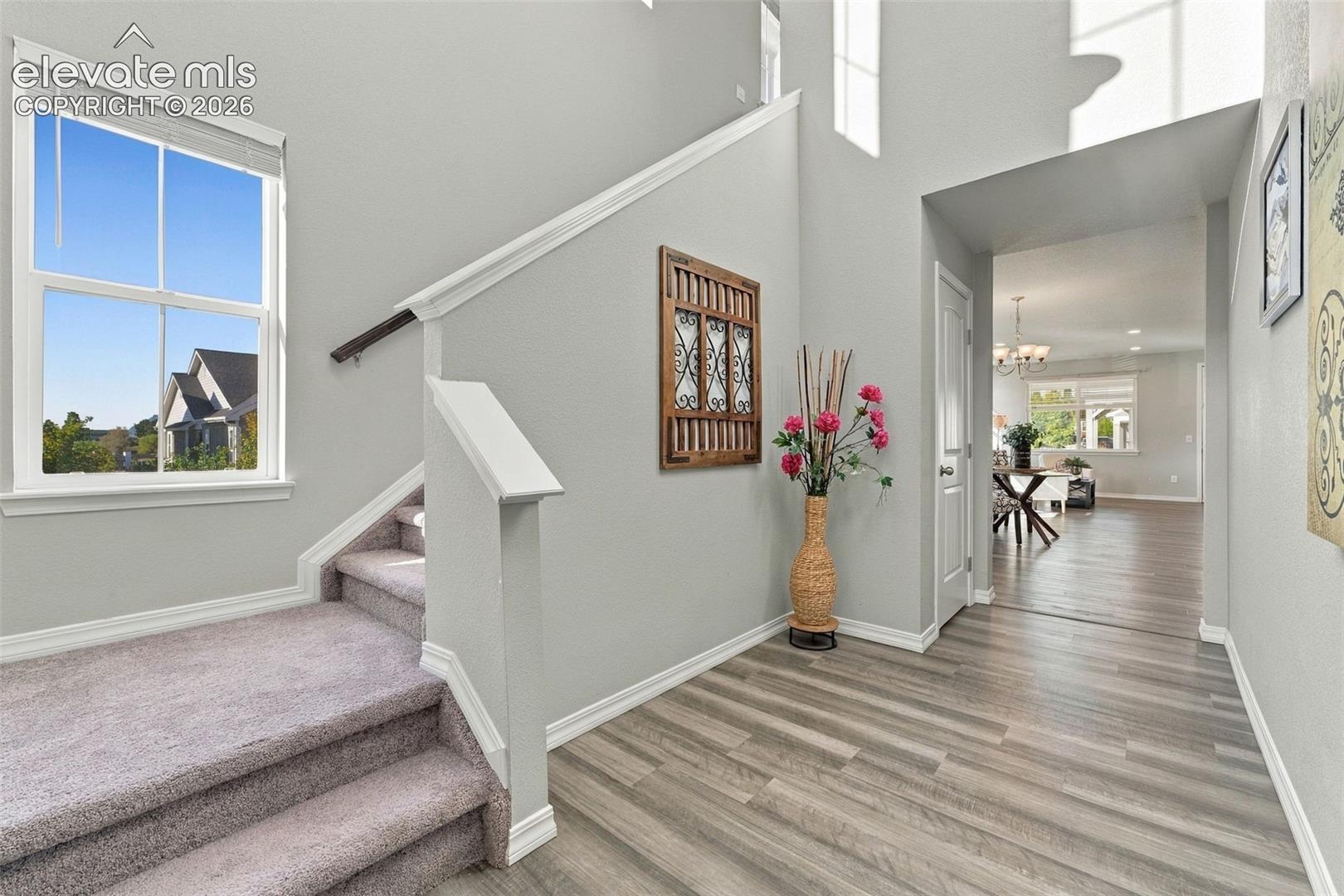 Photo 8 of 5804 Wild Rye Drive, Colorado Springs
