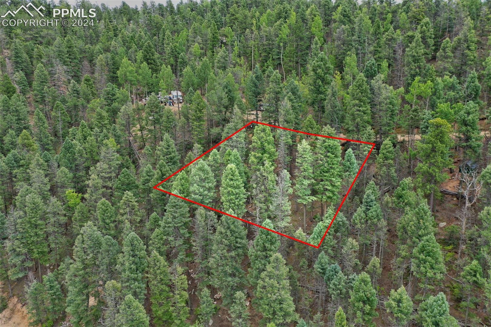 Property Lines are Approximate and not a survey" 
