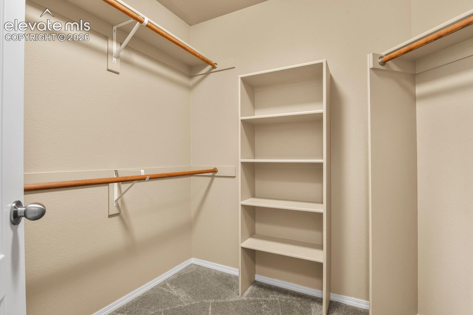 Walk-in closet featuring built-in shelving, dual hanging rods, and carpet flooring
