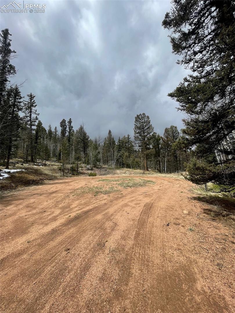 228 Alpine Dr, Florissant, CO 80816