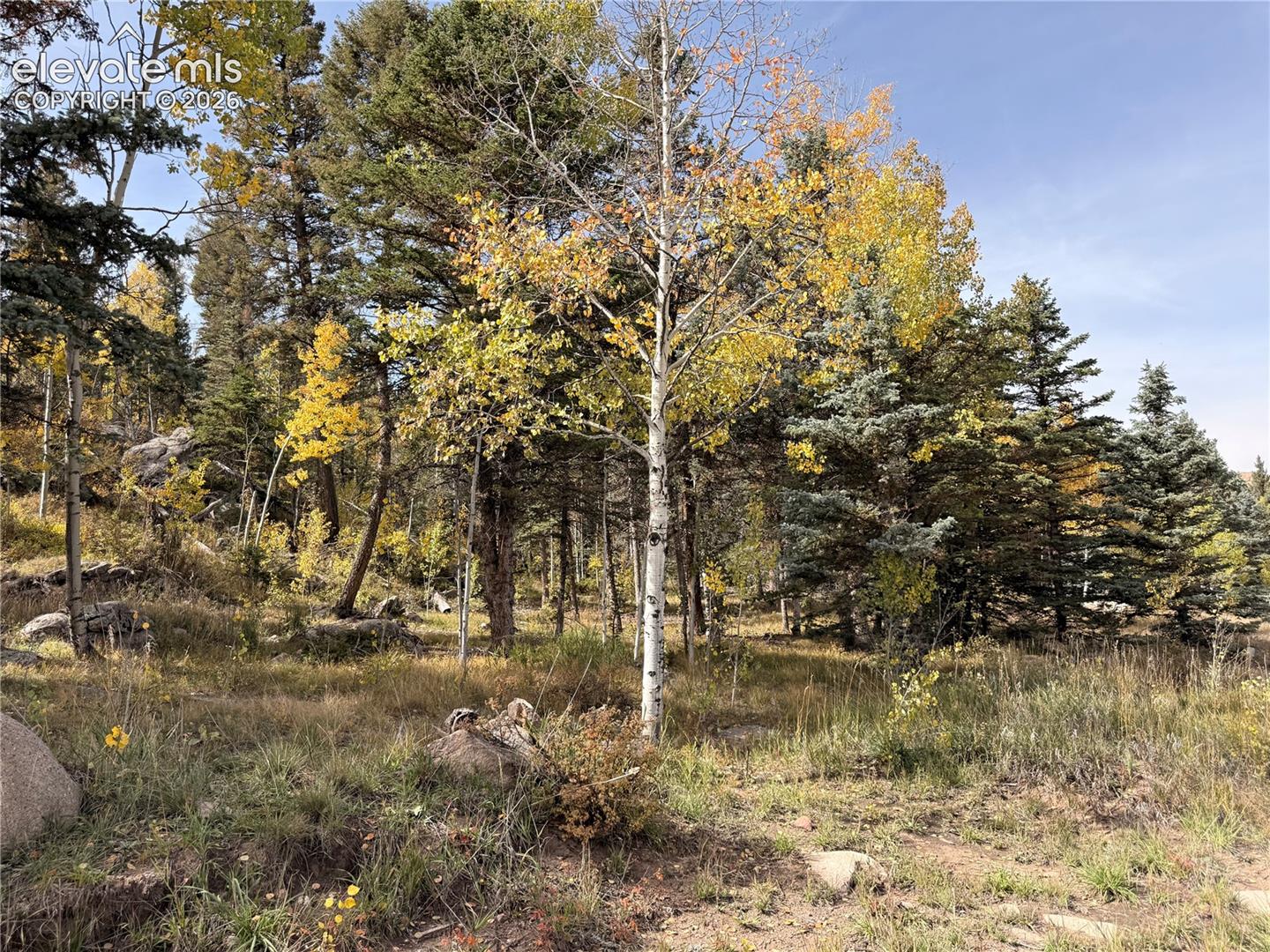 Mature trees, natural landscaping, varied foliage, scattered boulders, and an open sky
