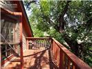 Elevated wood deck featuring a balustrade railing and mature tree canopy