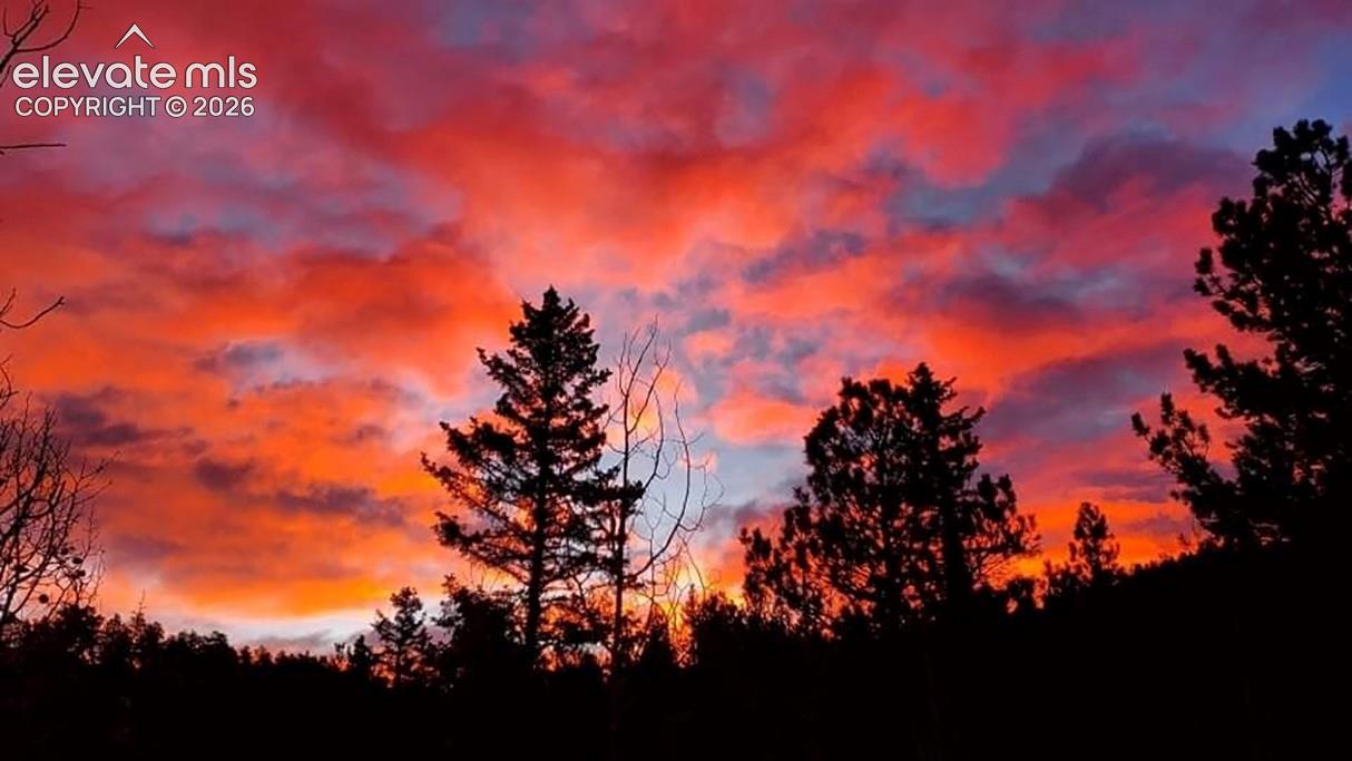 Beautiful sunrises from the deck