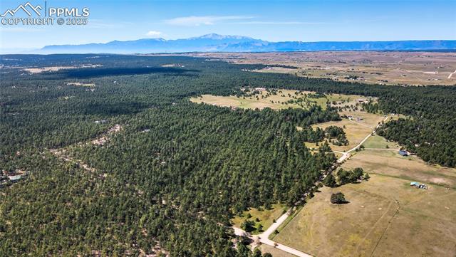 Photo 6 of 18380 Black Squirrel Road, Colorado Springs