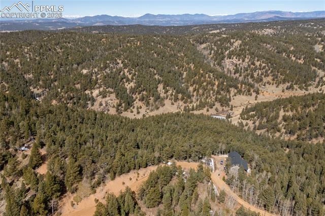 107 Haven Rd, Divide, CO 80814
