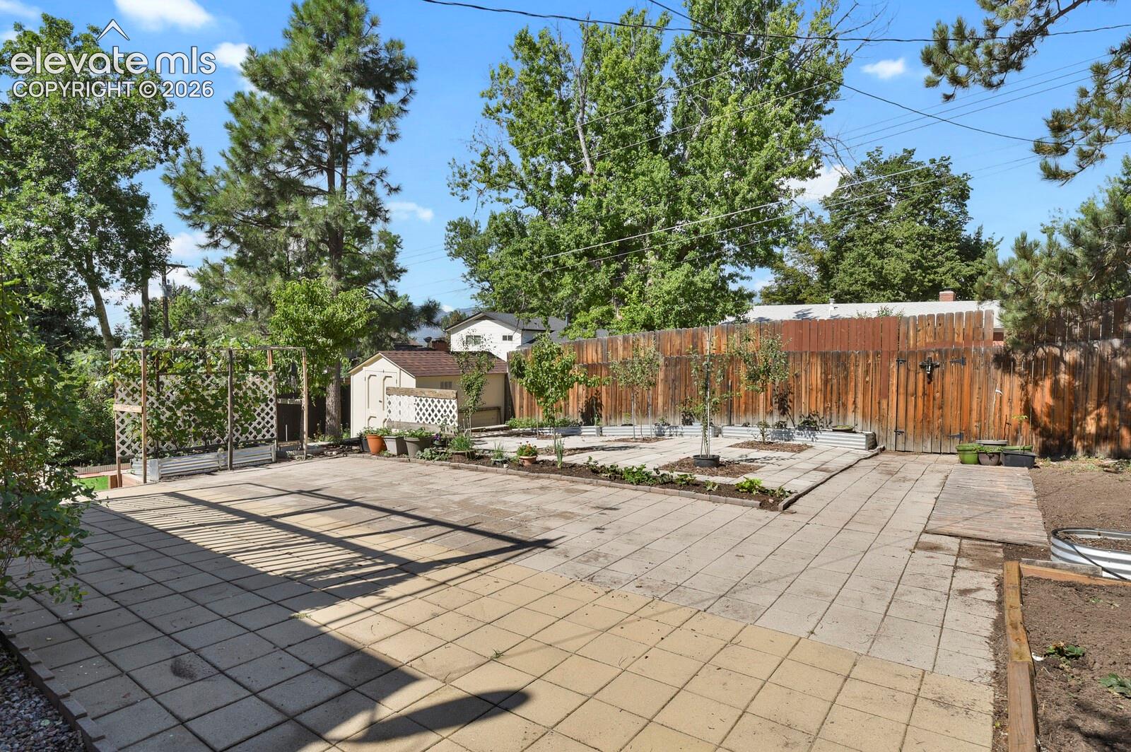 Expansive patio featuring large-format pavers with geometric layout, bordered by mature trees and wooden privacy fencing