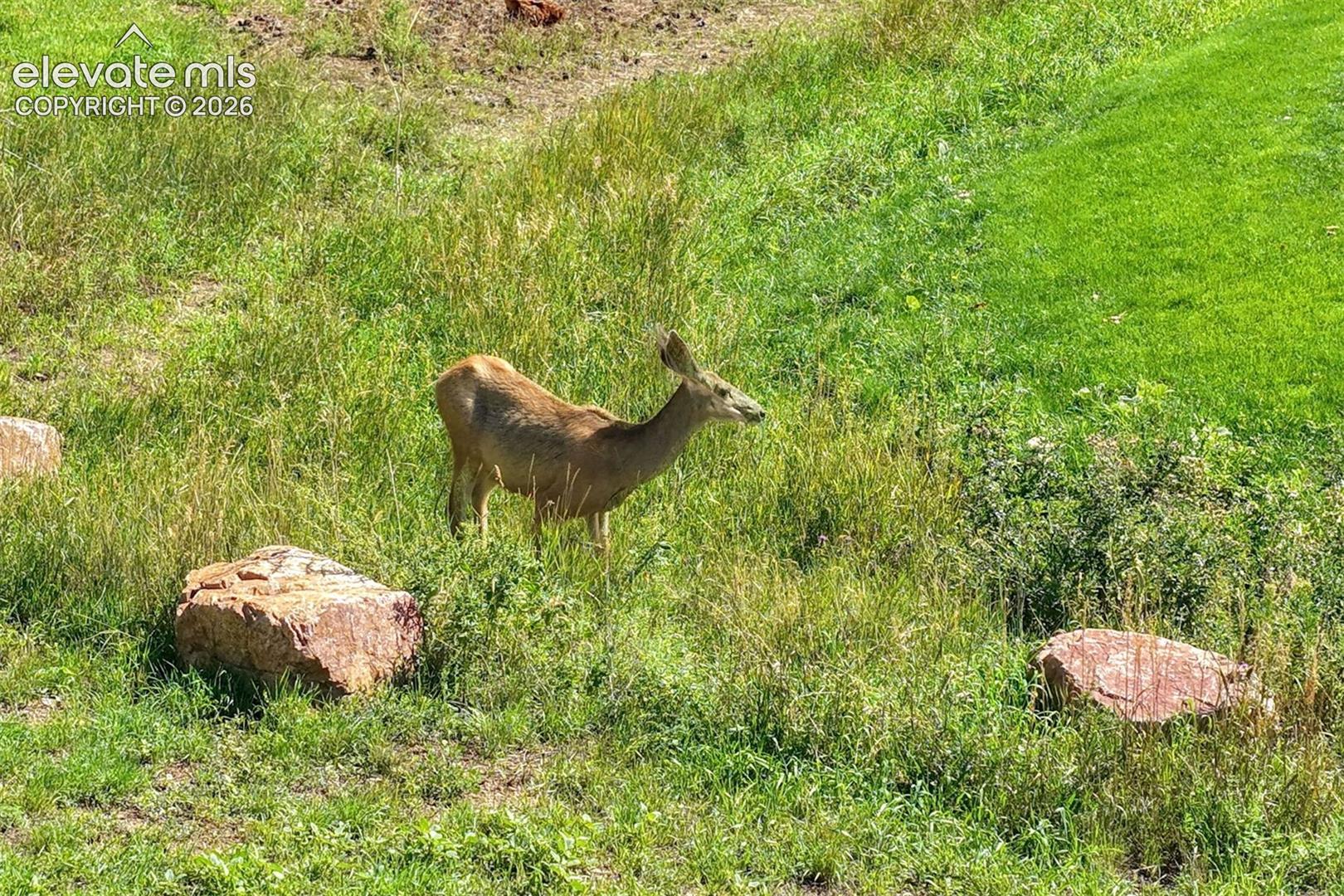 Photo 49 of 3535 Broadmoor Valley Road, Colorado Springs