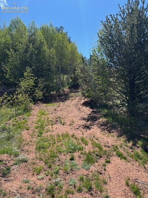 Photo 7 of 124 Yorktown Road, Cripple Creek