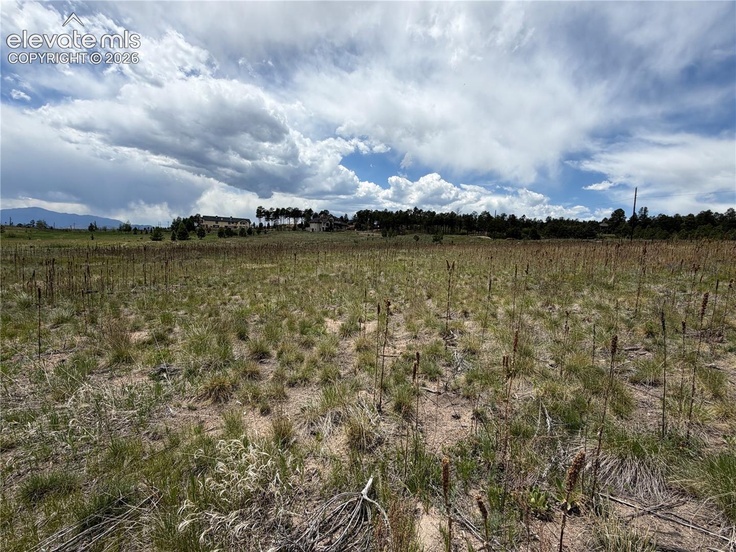 Photo 24 of 13810 Wildoak Drive, Black Forest
