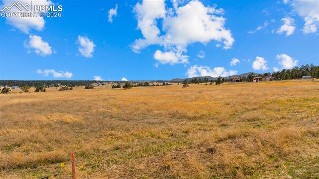 Photo 16 of 10230 Alamar Way, Colorado Springs