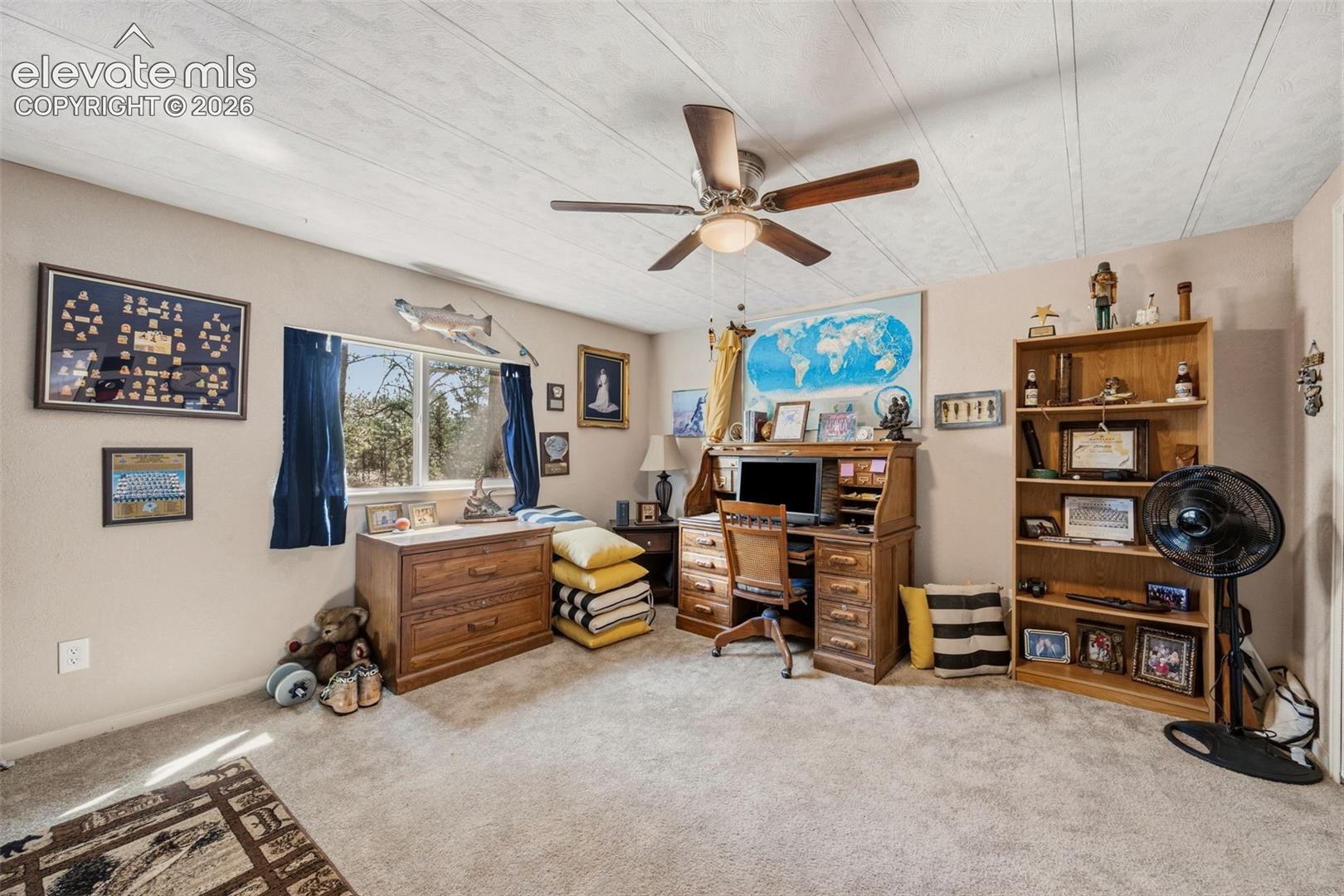 Photo 17 of 1299 Pikes Peak Drive, Florissant