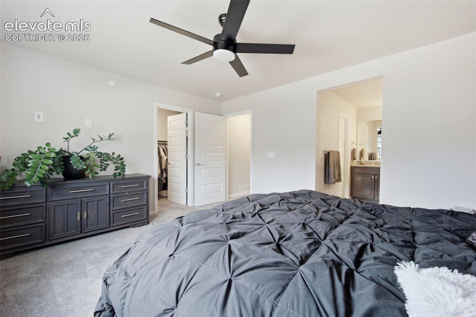 Photo 23 of 1572 Rose Quartz Heights, Colorado Springs
