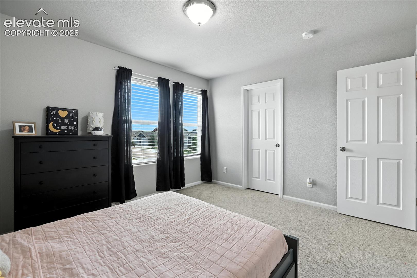 Carpeted flooring, multiple windows, white paneled doors, and a ceiling-mounted light fixture