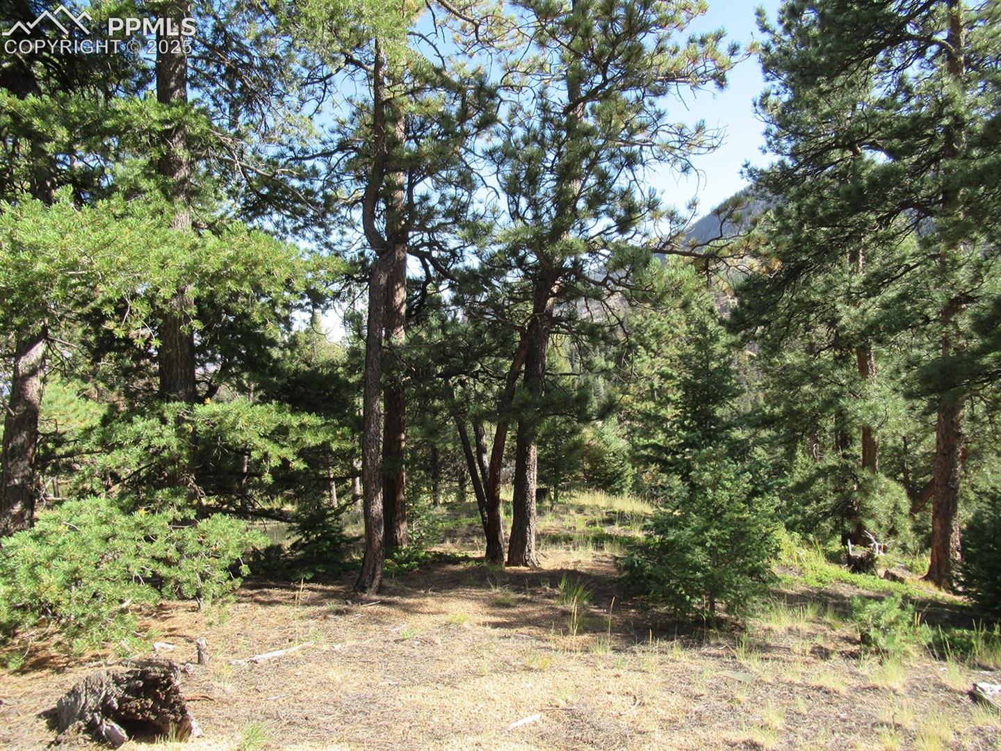 213 Coffee Pot Rd, Manitou Springs, CO 80829