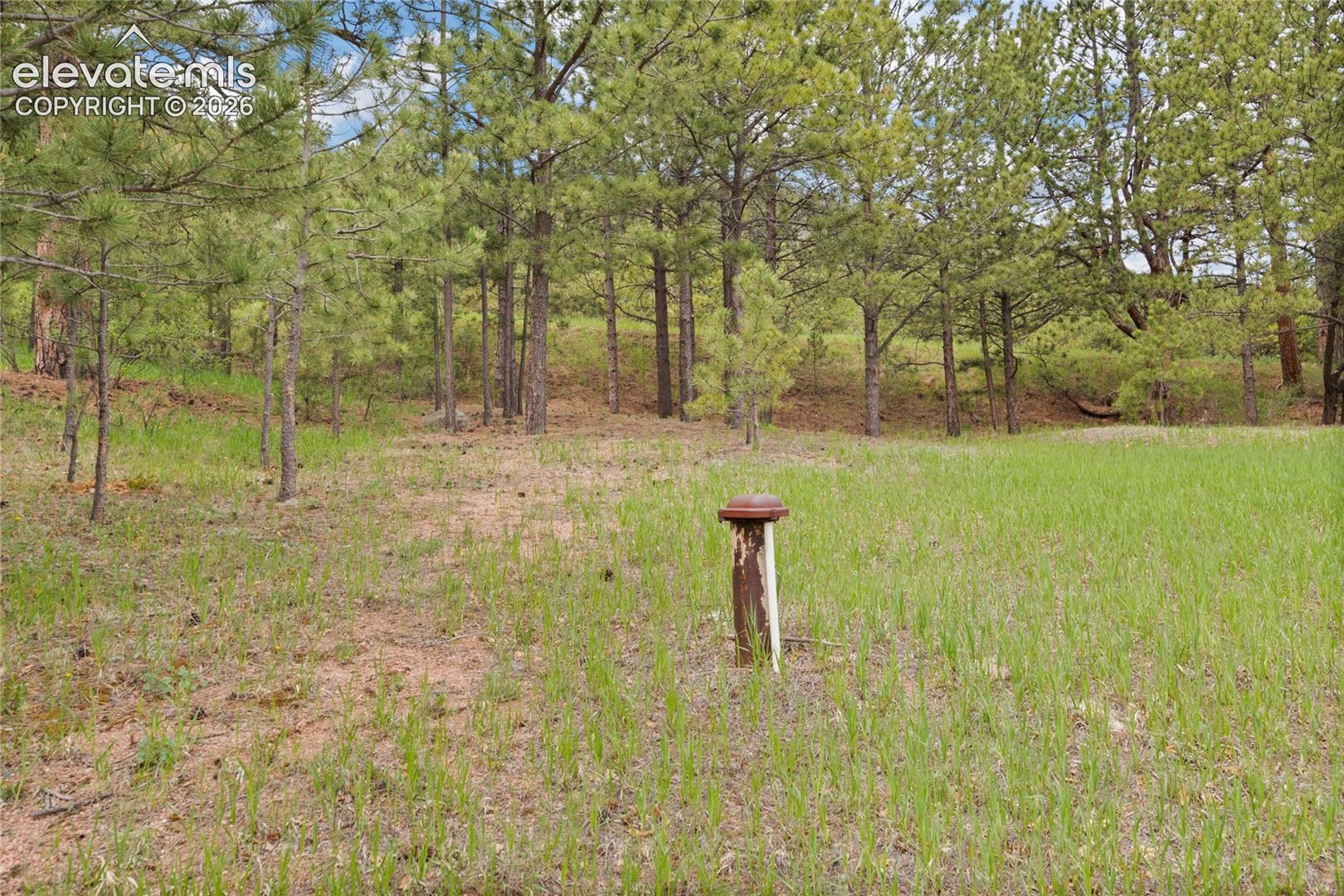 5254 County Road 11, Florissant, CO 80816