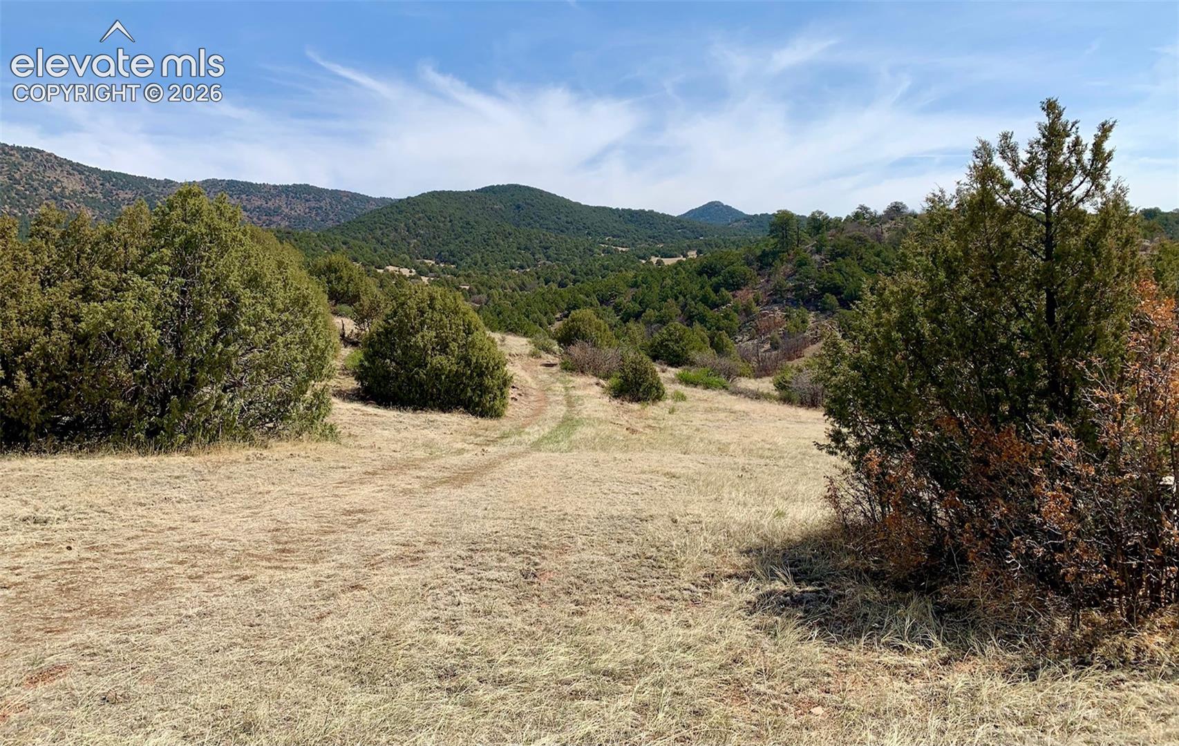 Open terrain featuring native grasses, mature juniper trees, and mountainous topography