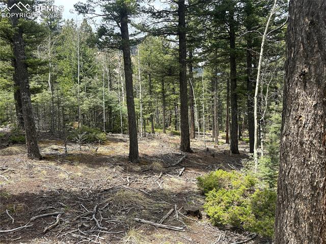 357 Big Horn Rd, Manitou Springs, CO 80829