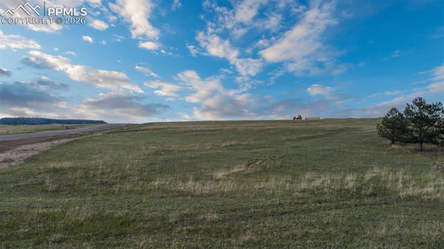Photo 9 of 11516 Bison Meadows Court, Colorado Springs