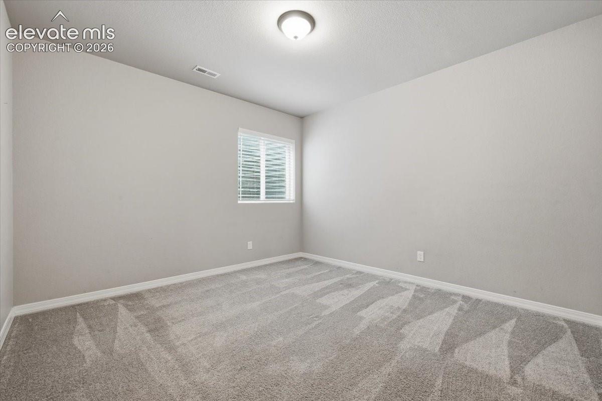 Large basement bedroom with walk in closet!