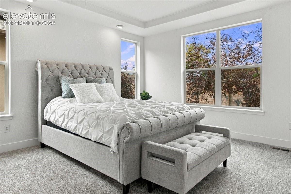 Tray ceiling, neutral carpeting, and large windows with natural lighting