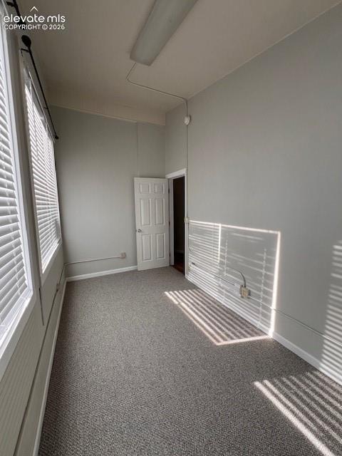 Interior space featuring wall-to-wall carpeting, high ceilings, multiple large windows with horizontal blinds, and a six-panel interior door