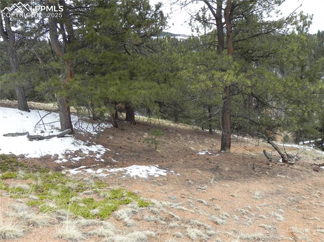 Photo 9 of 153 Idlewild Drive, Cripple Creek